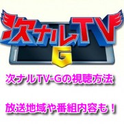 次ナルTV-G　無料動画視聴方法